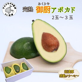 【ふるさと納税】完熟国産アボカド「御厨(みくりや)アボカド」2玉～3玉【B5-030】 アボカド 国産 御厨アボカド 3玉 敬老の日