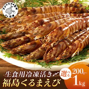 yӂ邳Ɣ[Łzs eʁIׂ tHpⓀY܂ 200g 400g 500g 1kg ӂ邳Ɣ[ ԊCV  ӂ邳Ɣ[ ԃGr N}Gr ܂  Gr CV H