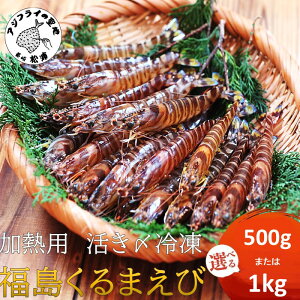 yӂ邳Ɣ[ŁzMp YⓀ܂ 500g 1kg 1pbN 2pbN