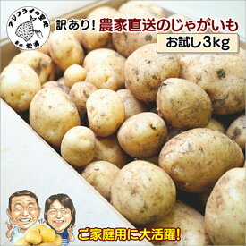 【ふるさと納税】訳あり！農家直送のじゃがいも お試し3kg ( 訳あり じゃがいも いも 肉じゃが サラダ フライドポテト カレー シチュー 煮物 )【A6-042】