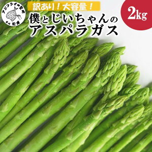 yӂ邳Ɣ[Łz󂠂育ƒpɑ劈IlƂ̃AXpKX2kgyB0-225z AXpKX O[AXp ̂ VN 󂠂 e ƒp B Ys