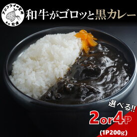 【ふるさと納税】和牛がゴロッと黒カレー 200g×2P 200g×4P