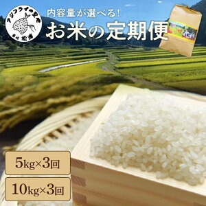 yӂ邳Ɣ[ŁzĂ̒ 5kg×3 10kg×3yցz