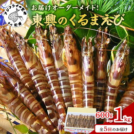 【ふるさと納税】お届けオーダーメイド!東興のくるまえび 600g×5回 1kg×5回