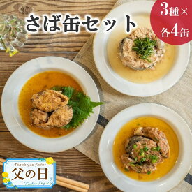 【ふるさと納税】《父の日》さば缶セット(3種×各4缶)【B2-107】 ふるさと納税 サバ缶 ふるさと納税 缶詰 鯖缶 サバ 鯖 水煮 味噌煮 醤油煮 長期保存 非常食 備蓄 保存食 セット 海鮮 簡単調理 肴 おかず 非常食 栄養 12缶 松浦 ギフト プレゼント 贈り物 父の日