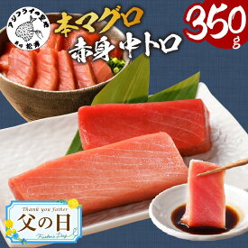 【ふるさと納税】【 道の駅 でも 大 人気 ！ 】 《父の日》本マグロ 柵 取り 合計 350g 中トロ 赤身【B4-053】長崎 鷹島産 本マグロ 本まぐろ マグロ まぐろ 本鮪 鮪 赤身 中トロ 魚 柵取り 刺身 海鮮 ギフト プレゼント 贈り物 父の日