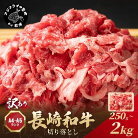 【ふるさと納税】訳あり！【A4〜A5】長崎和牛切り落とし 250g 500g 1kg 1.5kg 2kg
