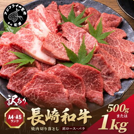 【ふるさと納税】訳あり！【A4～A5】長崎和牛焼肉切り落とし(肩ロース・バラ) 500g 1kg(500g×2p)