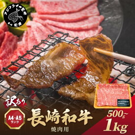 【ふるさと納税】訳あり！【A4〜A5】長崎和牛焼肉用 500g 1kg 牛肉 牛 和牛 国産 焼肉 おすすめ 赤身 美味しい バーベキュー プレゼント ギフト 送料無料 お取り寄せ