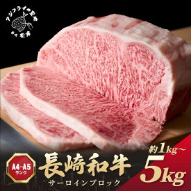 【ふるさと納税】【A4〜A5】長崎和牛サーロインブロック 約1kg〜約5kg