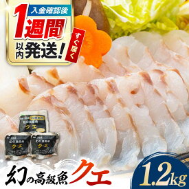 【ふるさと納税】【迷ったらコレ！】対馬産 幻の高級魚 クエ 1.2kg《対馬市》【保家商事】 [WAA014] 刺身 鍋 クエ鍋 海鮮 鮮魚 しゃぶしゃぶ くえ鍋 アラ クエ 希少 鮮魚