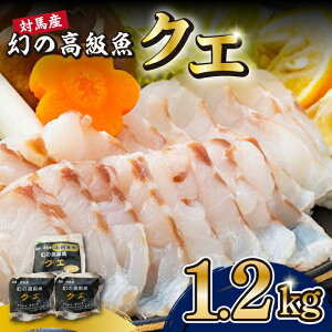 yӂ邳Ɣ[Łzy2025N10{菇zΔnY ̍ NG 1.2kgsΔnstyۉƏz [WAA014] hg  NG CN N Ԃ  A NG  N