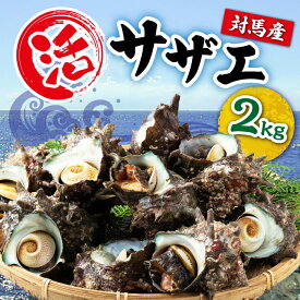 【ふるさと納税】対馬産 活サザエ 2kg《対馬市》【保家商事】 サザエ さざえ 貝 BBQ 海鮮 魚貝 海産物 [WAA015]