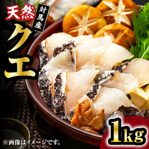 yӂ邳Ɣ[Łzy12/25܂ŔNzyΕΏہz ΔnY VR NG 1kgi500g×2ji؂gjsΔnstyΐ쐅Yz[WAB011]   NxQ CN NG VN 