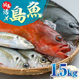 【ふるさと納税】対馬 活〆 島 魚 セット 1.5kg《対馬市》【対馬地域商社】九州 長崎 鮮魚 ボックス [WAC005]