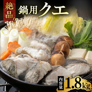 yӂ邳Ɣ[ŁzAiNGjJbg [WAE002]   NG p ؂g CN  VN