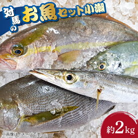 【ふるさと納税】対馬 のお 魚 (小潮) 2kg 《対馬市》【ゆうなぎ対馬】 鮮魚 新鮮 海鮮 イカ サザエ アジ クエ ヒラマサ ハタ[WAG002]