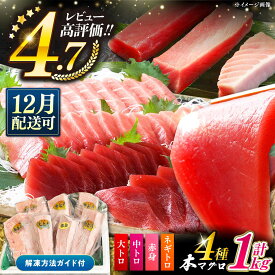 【ふるさと納税】【選べる配送時期】【1週間以内発送】対馬産 本マグロ 4種 計1kg ( 赤身 / 中トロ / 大トロ / ネギトロ )《対馬市》【対海】 [WAH004] 冷凍 マグロ 中トロ 鮪 本マグロ 赤身 ネギトロ 海鮮 大トロ 冷凍 本まぐろ 本鮪 魚介 スピード発送 最速発送 最短発送