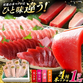 【ふるさと納税】【お歳暮対象】【12月配送可能】対馬産 本マグロ 4種 計1kg ( 赤身 / 中トロ / 大トロ / ネギトロ )《対馬市》【対海】 [WAH004] 冷凍 マグロ まぐろ 中トロ 鮪 本マグロ 赤身 ネギトロ 海鮮 大トロ 冷凍