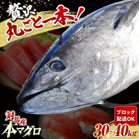 【ふるさと納税】対馬産 養殖 本マグロ 1尾（30~40kg）《対馬市》【対海】 冷凍 新鮮 ブロック 1本 お祝い パーティ 景品 贈り物 鮪 トロ 50万[WAH005]