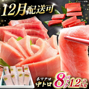 yӂ邳Ɣ[Łzy12z\zΔnY {B {}O@g 1.2kg(8pbN)sΔnstyΊCz[WAH020] }O  ܂ { Ƃ Ⓚ CN 