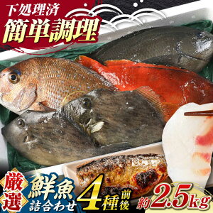 yӂ邳Ɣ[ŁzyԌIzΔnY N lߍ킹 4O 2.5kgsΔnstyΊCz[WAH021] VN VR  ① Zbg CN hg 