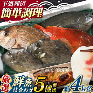 yӂ邳Ɣ[ŁzyԌIzΔnY N lߍ킹 5O 4.0kgsΔnstyΊCz[WAH022] VN VR  ① Zbg CN hg 