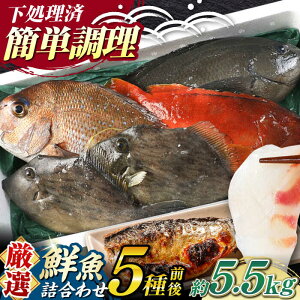 yӂ邳Ɣ[ŁzyԌIzΔnY N lߍ킹 5O 5.5kgsΔnstyΊCz[WAH023] VN VR  ① Zbg CN hg 