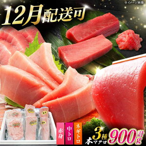 yӂ邳Ɣ[Łzy12z\zΔnY {}O 3 v900giԐg/g/lMgjsΔnstyΊCz Ⓚz Hה 蕨 [WAH029]