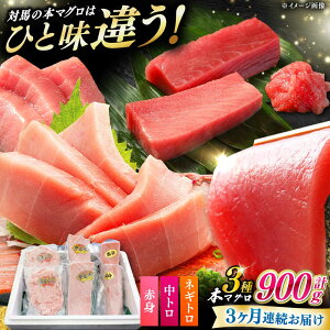 yӂ邳Ɣ[ŁzyS3ցz ΔnY {}O 3 v900giԐg/g/lMgjsΔnstyΊCz Ⓚz Hה 蕨 [WAH040]