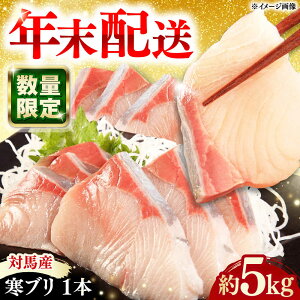 yӂ邳Ɣ[ŁzyNɎwł͂IzΔnY u 5kgO 1{ Δnsy͂犔Ёz Yn ① ①z u Ԃ  CN  Δn Y N[WAI096]