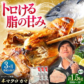 【ふるさと納税】【全3回定期便】対馬産 本マグロ カマ 1.5kg ≪対馬市≫【桐谷商店】 トロの華 対馬 新鮮 マグロ かま 鮪[WAQ100]
