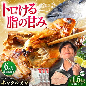 【ふるさと納税】【全6回定期便】対馬産 本マグロ カマ 1.5kg ≪対馬市≫【桐谷商店】 トロの華 対馬 新鮮 マグロ かま 鮪[WAQ101]
