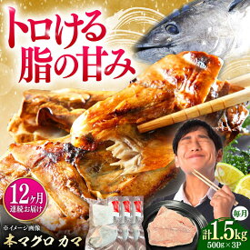 【ふるさと納税】【全12回定期便】対馬産 本マグロ カマ 1.5kg ≪対馬市≫【桐谷商店】 トロの華 対馬 新鮮 マグロ かま 鮪[WAQ102]
