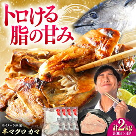 【ふるさと納税】対馬産 本マグロ カマ 2kg ≪対馬市≫【桐谷商店】 トロの華 対馬 新鮮 マグロ かま 鮪[WAQ103]