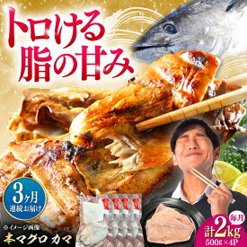【ふるさと納税】【全3回定期便】対馬産 本マグロ カマ 2kg ≪対馬市≫【桐谷商店】 トロの華 対馬 新鮮 マグロ かま 鮪[WAQ104]