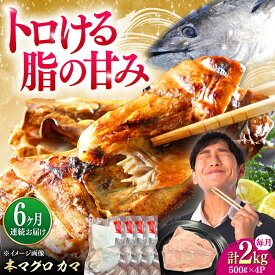【ふるさと納税】【全6回定期便】対馬産 本マグロ カマ 2kg ≪対馬市≫【桐谷商店】 トロの華 対馬 新鮮 マグロ かま 鮪[WAQ105]