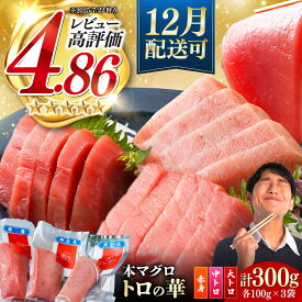 【ふるさと納税】【選べる配送時期】対馬産 本マグロ 詰め合わせ 《 対馬市 》【 桐谷商店 】[WAQ003] 対馬 新鮮 マグロ 大トロ 鮪 刺身 中トロ 赤身 トロ トロの華