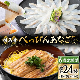 【ふるさと納税】【全6回定期便】対馬産 べっぴん あなご 詰め合わせ 《 対馬市 》【 桐谷商店 】 対馬 新鮮 ふわふわ 穴子 刺身 海産物 魚介 [WAQ005]