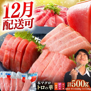 yӂ邳Ɣ[Łzy12z\zΔnY {}O 500giԐg200gAg200gAg100gjΔnsy˒JXz g̉ Δn VN }O g  hg NxQ[WAQ055]