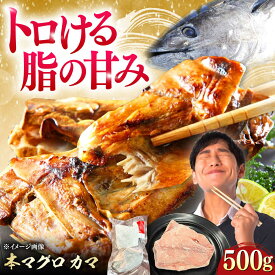 【ふるさと納税】対馬産 本マグロ カマ 500g ≪対馬市≫【桐谷商店】 トロの華 対馬 新鮮 マグロ かま 鮪[WAQ091]