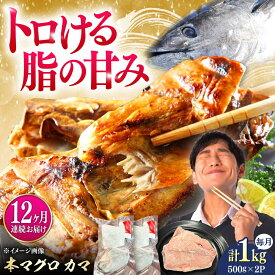 【ふるさと納税】【全12回定期便】対馬産 本マグロ カマ 1kg ≪対馬市≫【桐谷商店】 トロの華 対馬 新鮮 マグロ かま 鮪[WAQ098]