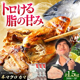 【ふるさと納税】対馬産 本マグロ カマ 1.5kg ≪対馬市≫【桐谷商店】 トロの華 対馬 新鮮 マグロ かま 鮪[WAQ099]