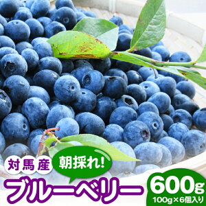 �y�ӂ邳�Ɣ[�Łz�y��s�\��z�Δn�Y���̂�u���[�x���[ (��) 600g �s�Δn�s�t�y���ق̗��t�@�[���z�� �t���[�c �ʕ� ���H �V�N ���H[WBG006]