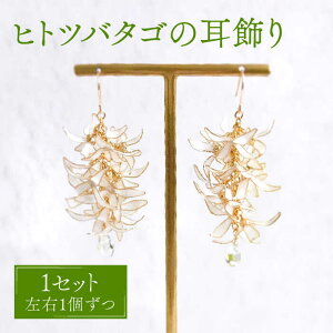 yӂ邳Ɣ[Łzqgco^S   i sAX E CO I\jyЂ߁zsΔnstAJt[ tbN  ANZT[ v[g [WBP004]