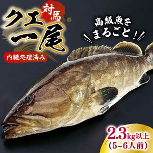 yӂ邳Ɣ[ŁzyőzΔnYNG ۂ1C 2.3kgȏIsΔnstyGYX^Cz VN } hg Ԃ   A  j v[g җ[WCN005] Xs