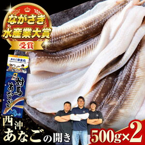 yӂ邳Ɣ[ŁzΔnY VRȂ̊J500g×2sΔnstyTzY  q AiS VN Ⓚ Ă VՂ g 蕨[WCO002]