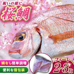 yӂ邳Ɣ[ŁzVR  tB[ 1kg sΔnstyΔnVNgz   ^ TN_C VN j Ⓚz Yn[WCS002]