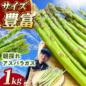 【ふるさと納税】朝採れアスパラガス1kg 《対馬市》 【農家くんのアスパラファーム】 冷蔵 アスパラ とれたて 新鮮 野菜 産地直送 [WCT001]