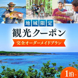 【ふるさと納税】【現地コンシェルジュがサポート】 地域限定観光クーポン（1泊〜）《対馬市》【対馬グリーン・ブルーツーリズム協会】[WDA001]